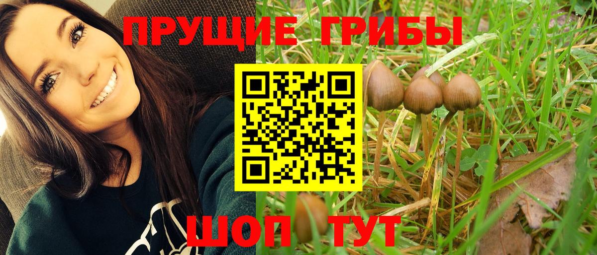 Псилоцибиновые грибы ЛСД  Вход с VPN  Тулун 