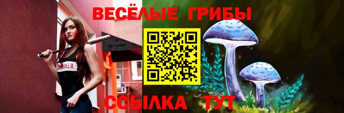 Галлюциногенные грибы Psilocybe Тулун